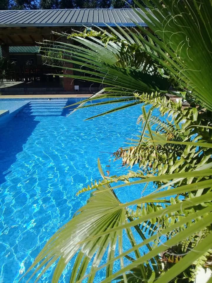 Cabanas Y Boungalow Don Oscar Hotel Encarnación Esterno foto